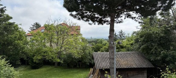 3 bedrooms House in Perchtoldsdorf, Austria No. 175650 13