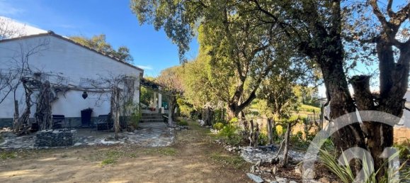 2 Schlafzimmer Haus in Oletta, France, Nr. 62213 3