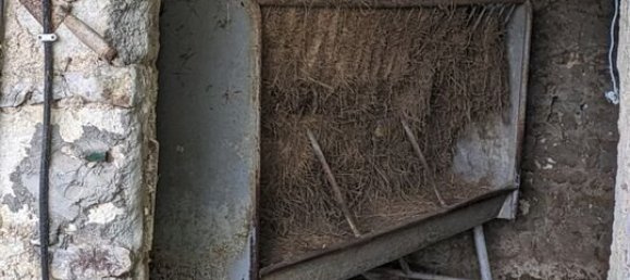 4 Schlafzimmer Grundstück in Santarem, Portugal, Nr. 146446 36