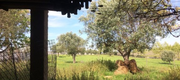 4 Schlafzimmer Grundstück in Santarem, Portugal, Nr. 146446 25