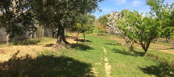4 Schlafzimmer Grundstück in Santarem, Portugal, Nr. 146446 27