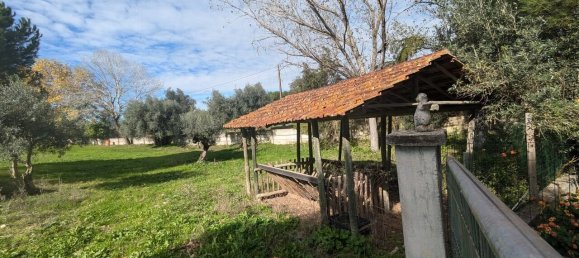 4 Schlafzimmer Grundstück in Santarem, Portugal, Nr. 146446 21