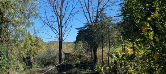 4 Schlafzimmer Grundstück in Santarem, Portugal, Nr. 146446 47