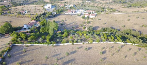 4 Schlafzimmer Grundstück in Santarem, Portugal, Nr. 146446 31