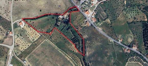 4 Schlafzimmer Grundstück in Santarem, Portugal, Nr. 146446 39