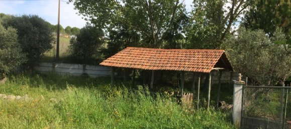 4 Schlafzimmer Grundstück in Santarem, Portugal, Nr. 146446 23