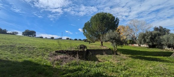 4 Schlafzimmer Grundstück in Santarem, Portugal, Nr. 146446 28