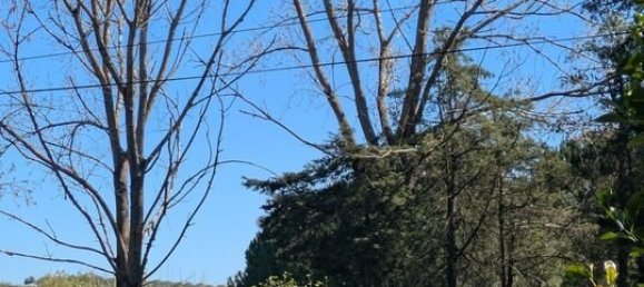 4 Schlafzimmer Grundstück in Santarem, Portugal, Nr. 146446 48