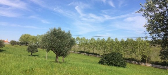 4 Schlafzimmer Grundstück in Santarem, Portugal, Nr. 146446 22