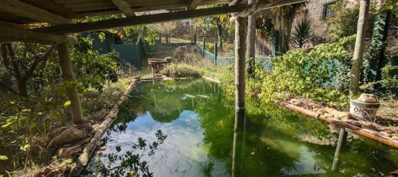 4 Schlafzimmer Grundstück in Santarem, Portugal, Nr. 146446 24