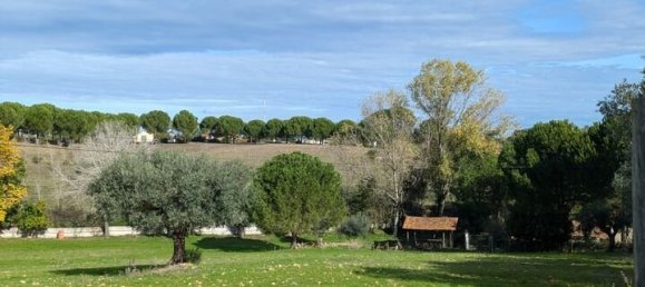 4 Schlafzimmer Grundstück in Santarem, Portugal, Nr. 146446 34
