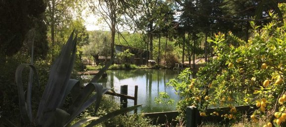 4 Schlafzimmer Grundstück in Santarem, Portugal, Nr. 146446 45