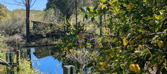 4 Schlafzimmer Grundstück in Santarem, Portugal, Nr. 146446 43