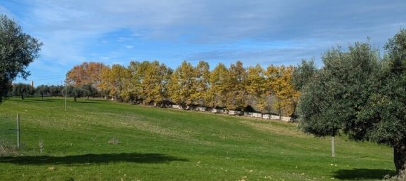 4 Schlafzimmer Grundstück in Santarem, Portugal, Nr. 146446 35