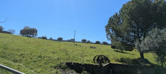 4 Schlafzimmer Grundstück in Santarem, Portugal, Nr. 146446 44