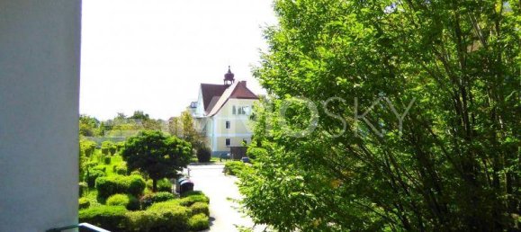 3-Zimmer Wohnung in Wels, Austria, Nr. 231045 2