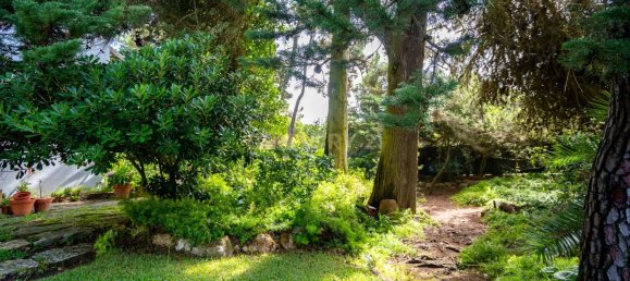 6 bedrooms House in Cascais, Portugal No. 133086 6