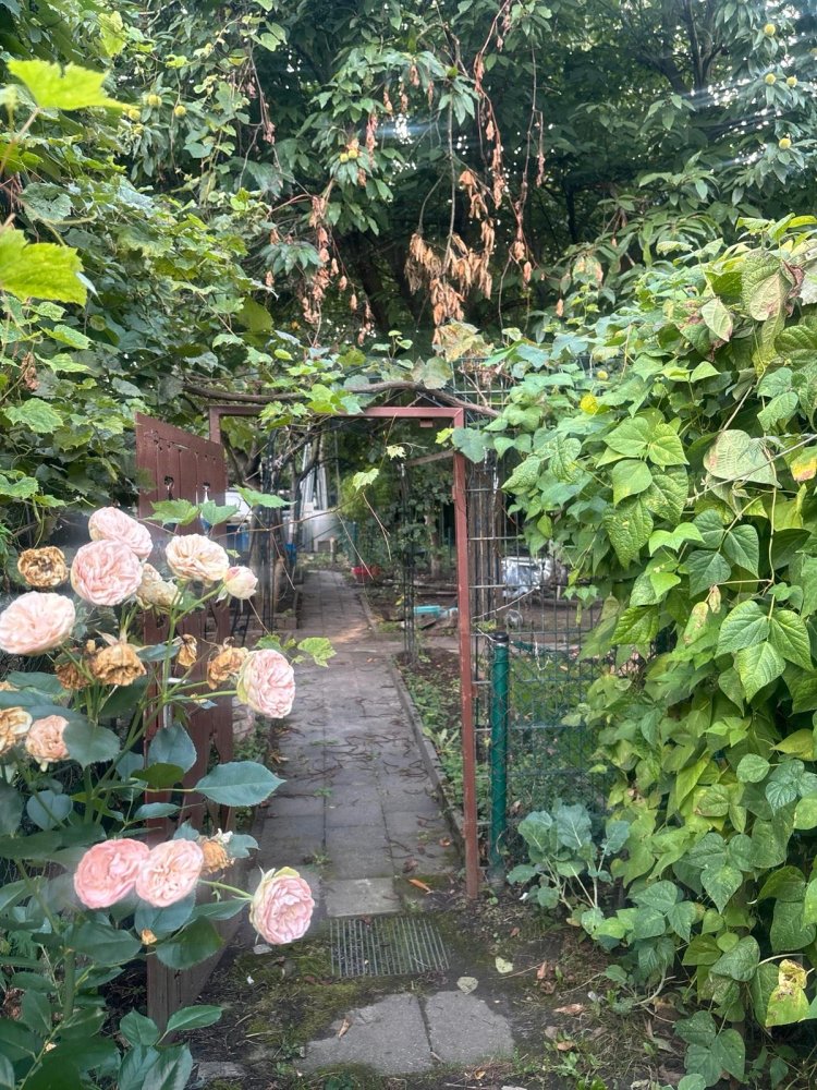 Terreno en Bochum, Germany No. 336489