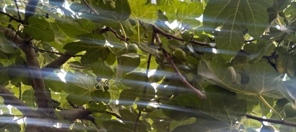 Terreno en Bochum, Germany No. 336489 15