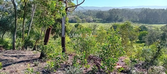 11640m² Land in Rogil, Portugal No. 33016 5