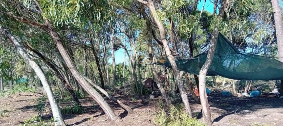 11640m² Land in Rogil, Portugal No. 33016 8