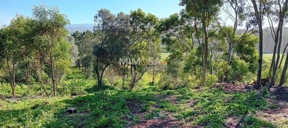 11640m² Land in Rogil, Portugal No. 33016 3