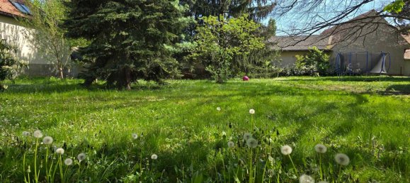  قطعة أرض في Liebenau, Austria رقم 20526 3