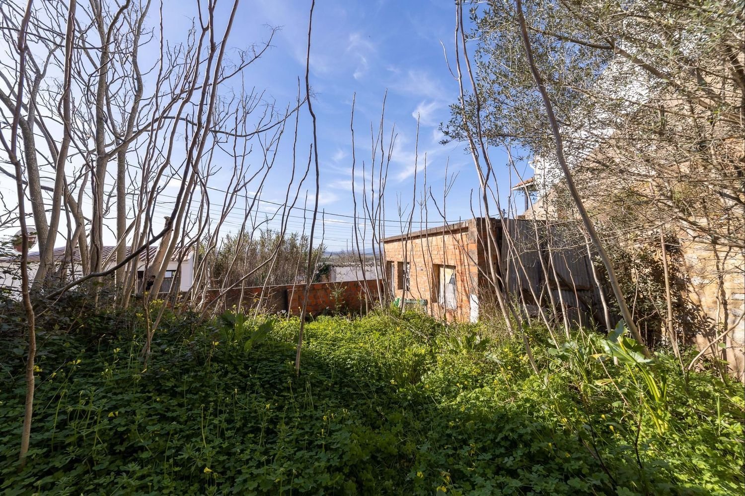 124m² Warehouse in Chamusca, Portugal No. 309686