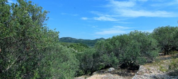 2000m² Hotel in Corfu, Greece No. 5549 14