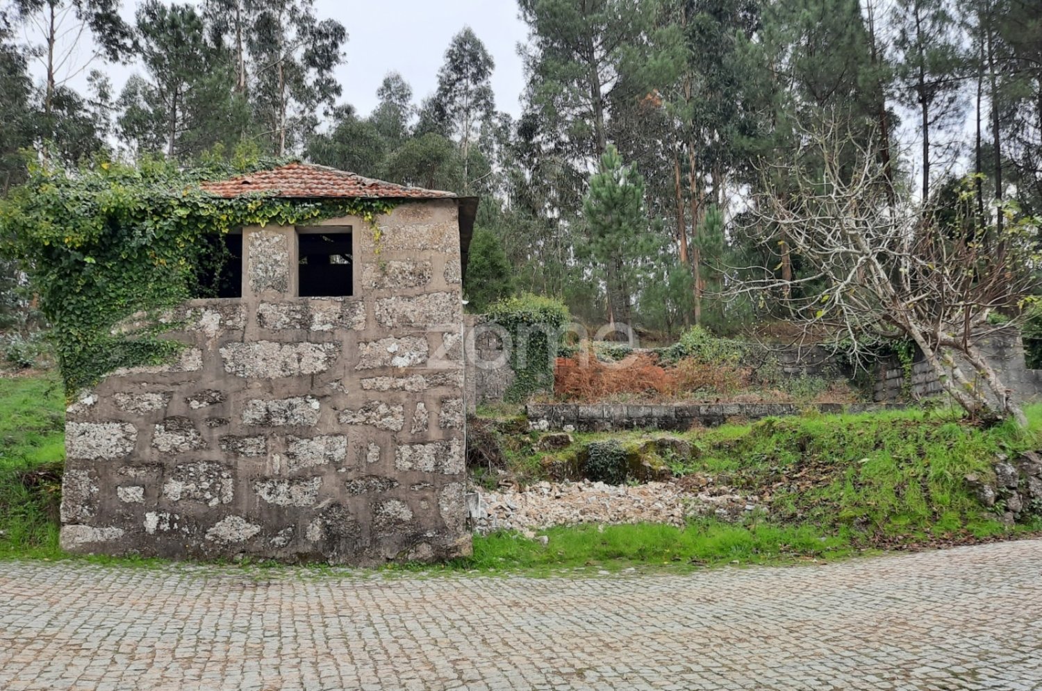 2 bedrooms House in Penafiel, Portugal No. 32939