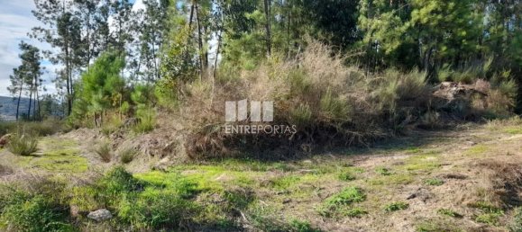 Земельный участок 1300м² в Амаранти, Португалия № 57475 4