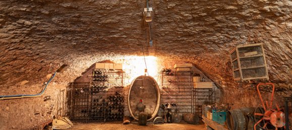 4 bedrooms House in Charentay, France No. 202758 11