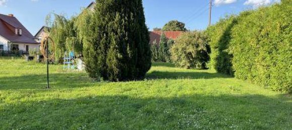 6-salle Terrain à Bautzen, Germany No. 313997 9