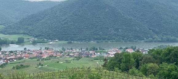 Land in Weissenkirchen in der Wachau, Austria No. 82644 6
