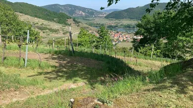  Land in Weissenkirchen in der Wachau, Austria No. 82644