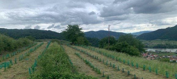Land in Weissenkirchen in der Wachau, Austria No. 82644 5