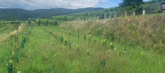 Land in Weissenkirchen in der Wachau, Austria No. 82644 3