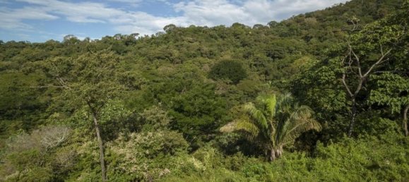  Land in Nicoya, Costa Rica No. 1878 6