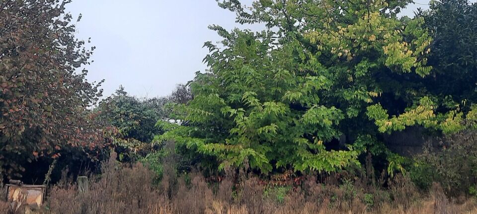  Land in Bordeaux, France No. 347522