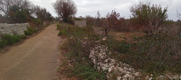 5500m² Land in Salve, Italy No. 252490 8