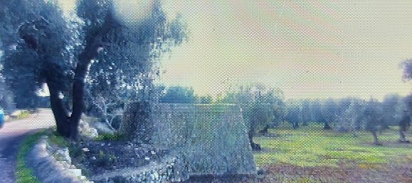 5500m² Land in Salve, Italy No. 252490 5