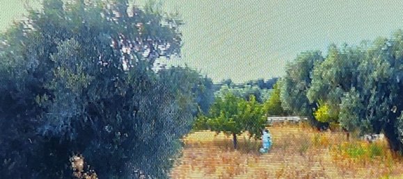 5500m² Land in Salve, Italy No. 252490 7