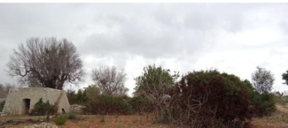 5500m² Land in Salve, Italy No. 252490 9