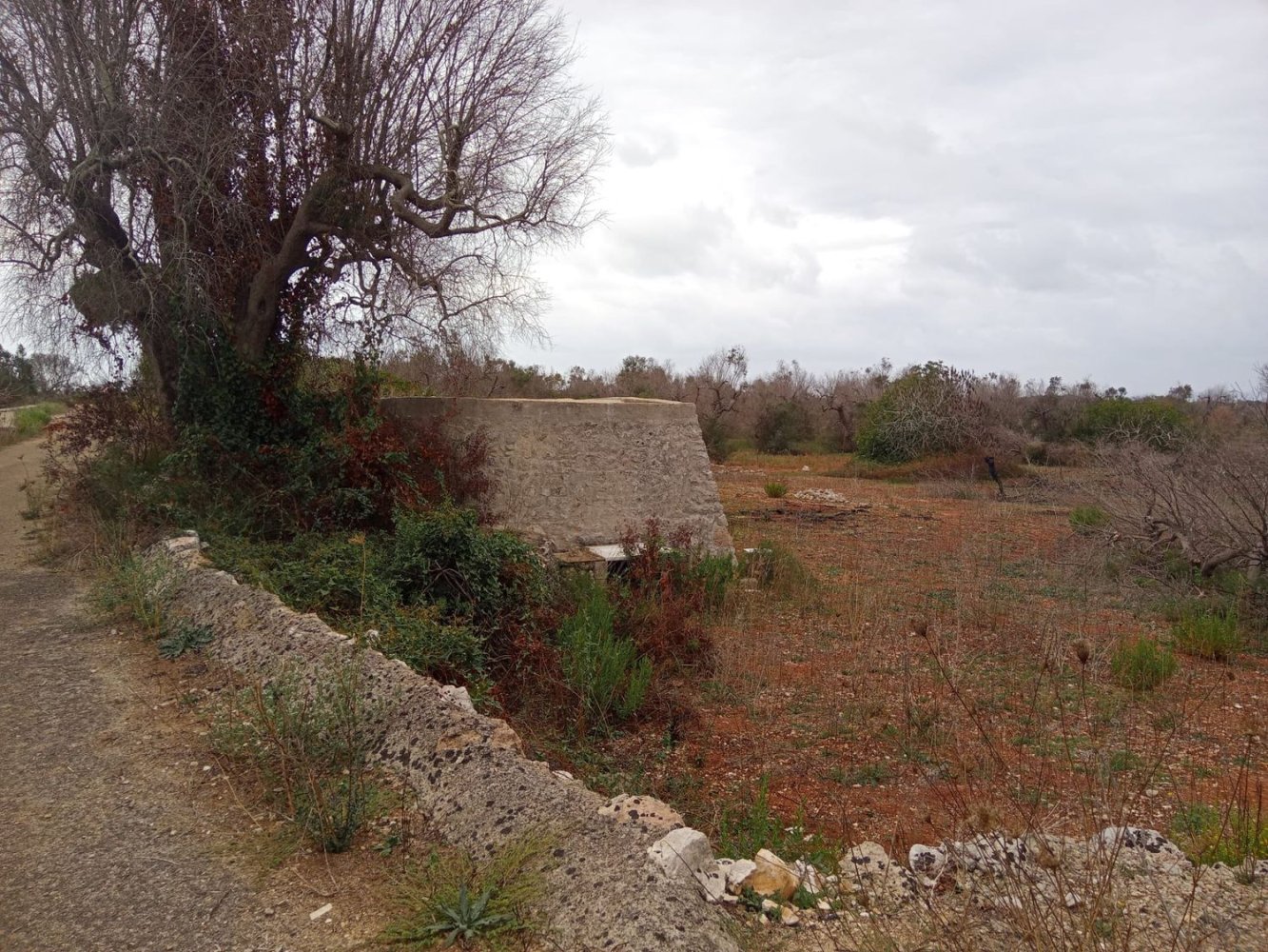 5500m² Land in Salve, Italy No. 252490