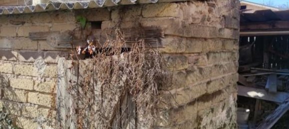 5 rooms Apartment in Valmontone, Italy No. 191092 12