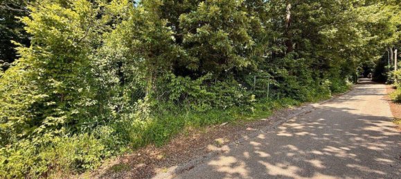  Land in Eichgraben, Austria No. 256073 2