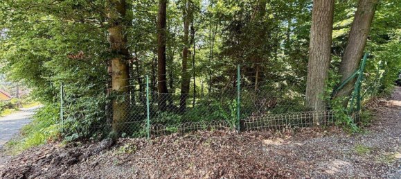  Land in Eichgraben, Austria No. 256073 3