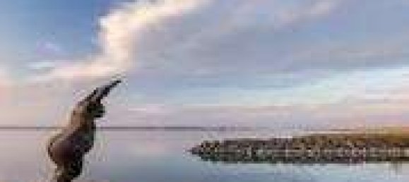 1 Schlafzimmer Stadthaus in Demmin, Germany, Nr. 136724 18