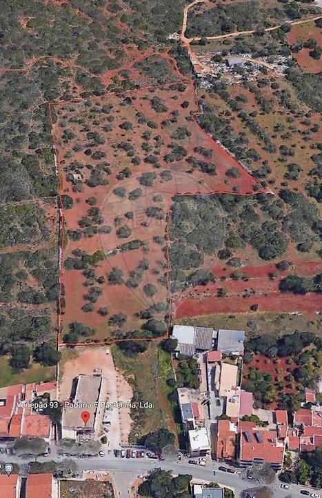 13400m² Land in Almancil, Portugal No. 244961