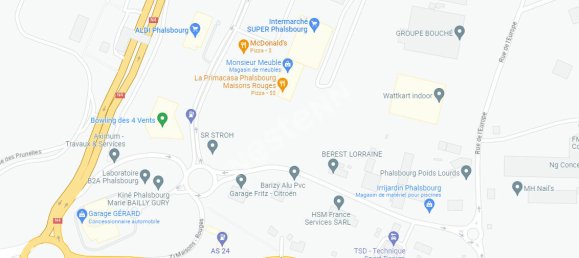 Коммерческая недвижимость 750м² в Фальсбур, Франция № 226678 10